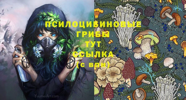первитин Абаза