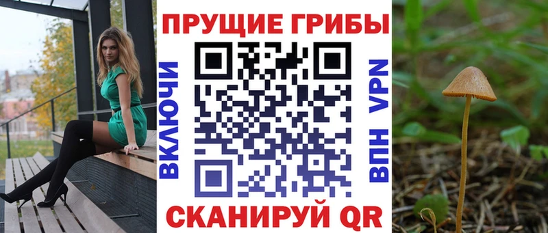 Псилоцибиновые грибы ЛСД  blacksprut зеркало  Кострома  закладка 
